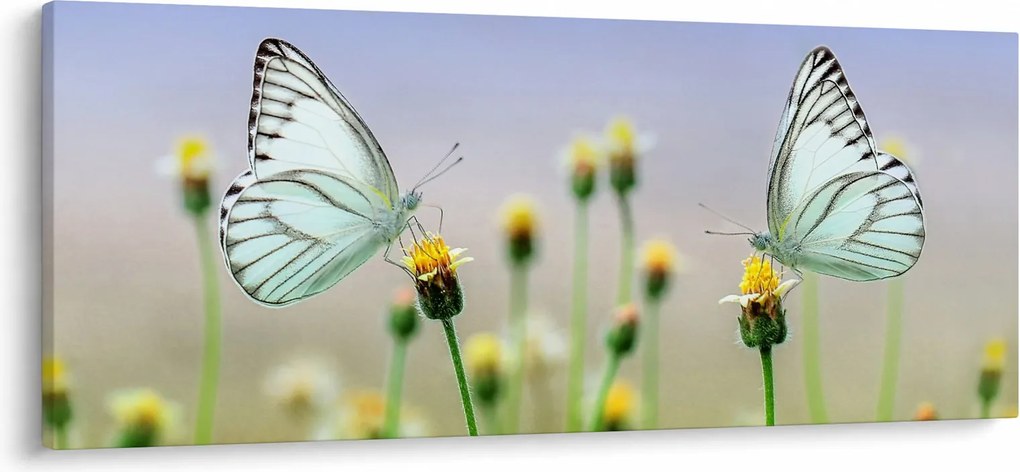 Pillangók eképe a virágon (120x50 cm)
