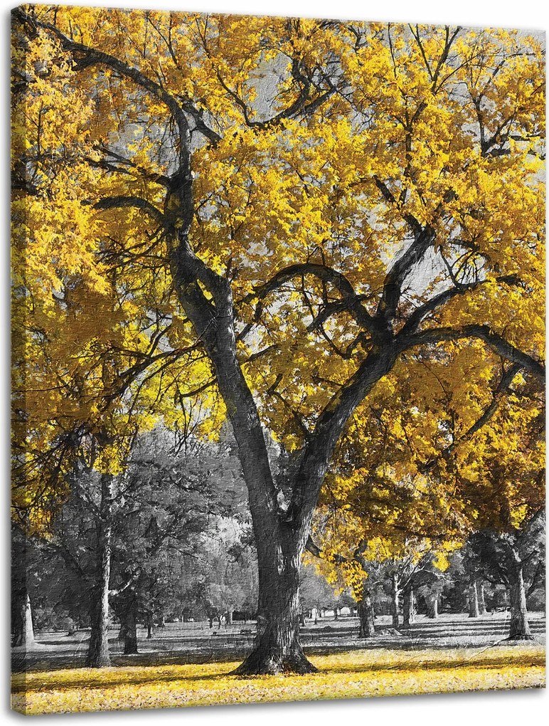 Vászonkép Fekete fák Sárga levelek 30x40 cm Ideális ajándék