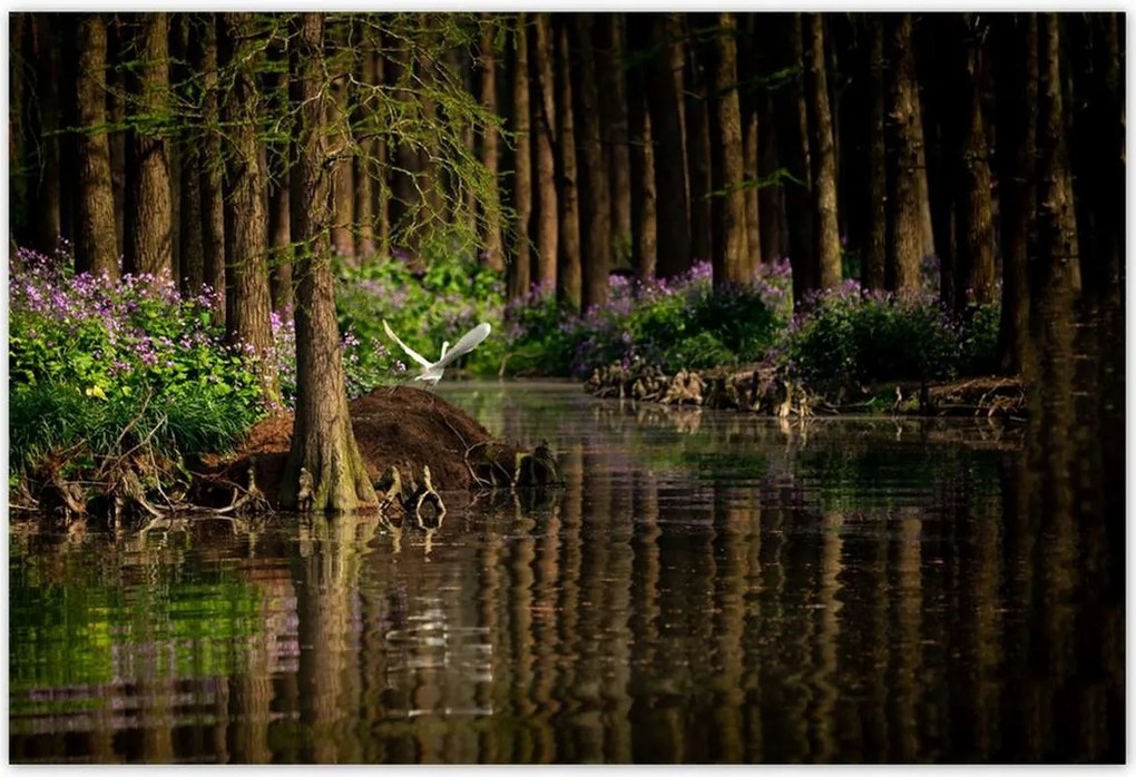 Poszterek 200x135 Tájkép Látvány