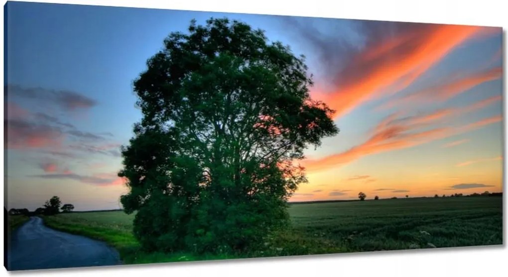 Vászonkép 115x55 Lángoló égbolt