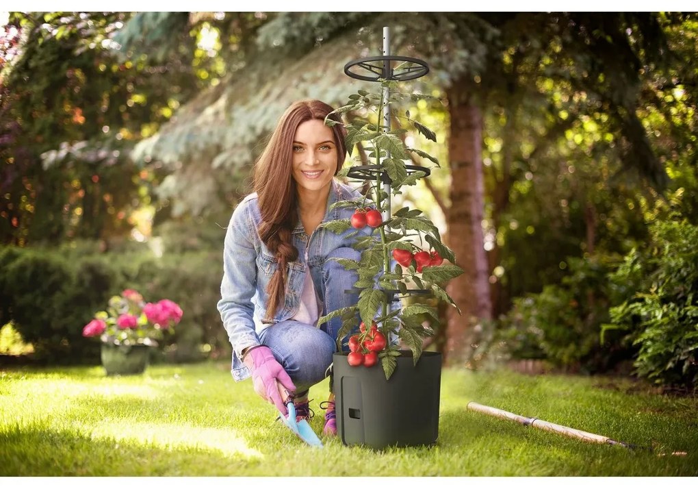 Gardenico Termesztőláda paradicsomhoz, homok színű, átmérő 29 cm