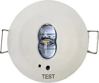 LED VészhelyzetI függesztett mennyezeti lámpa LED/1,2W/230V 6000K