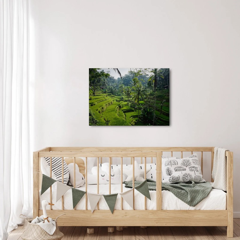 Kép a rizs teraszokról, Tegalalang, Bal (70x50 cm)