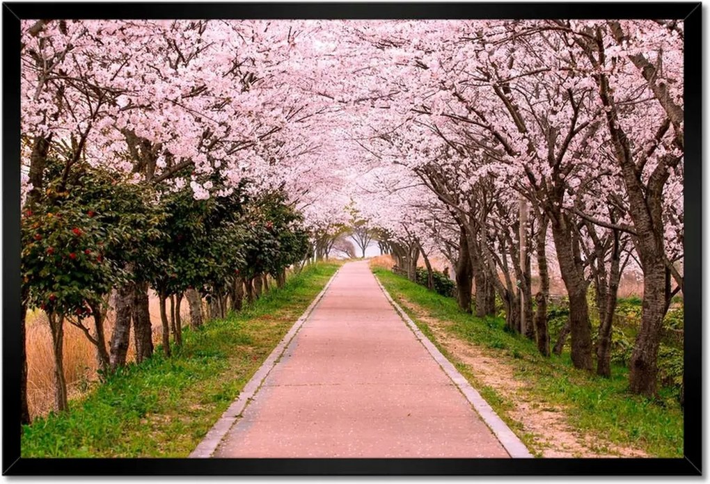 Poszterek keretben 60x40 Virágok