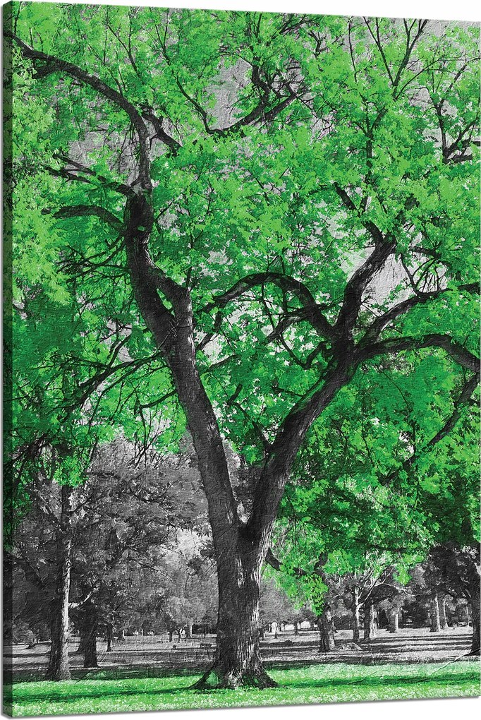 Vászonkép Fekete fák Zöld levelek Művészet 80x120 cm