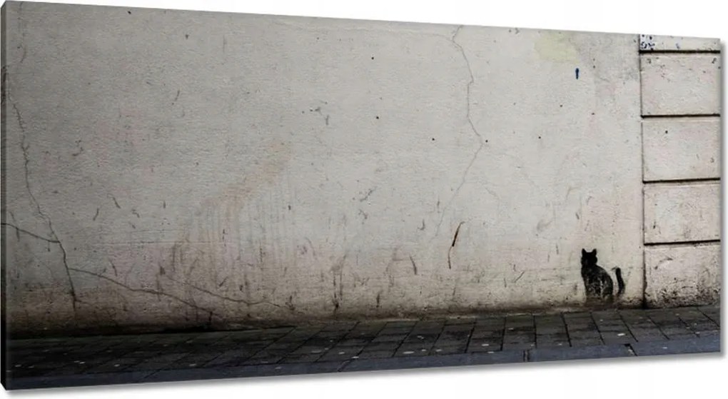 Vászonkép 115x55 Cica