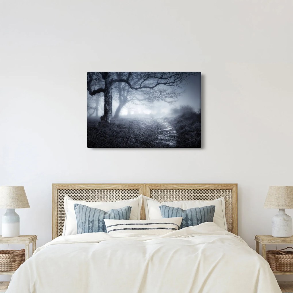 Kép - Út a ködben (90x60 cm)