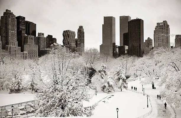 Fotográfia Central Park winter, rabbit75_ist