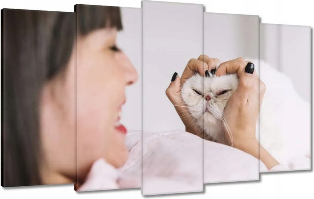 Vászonkép 100x60 Cica Cicák