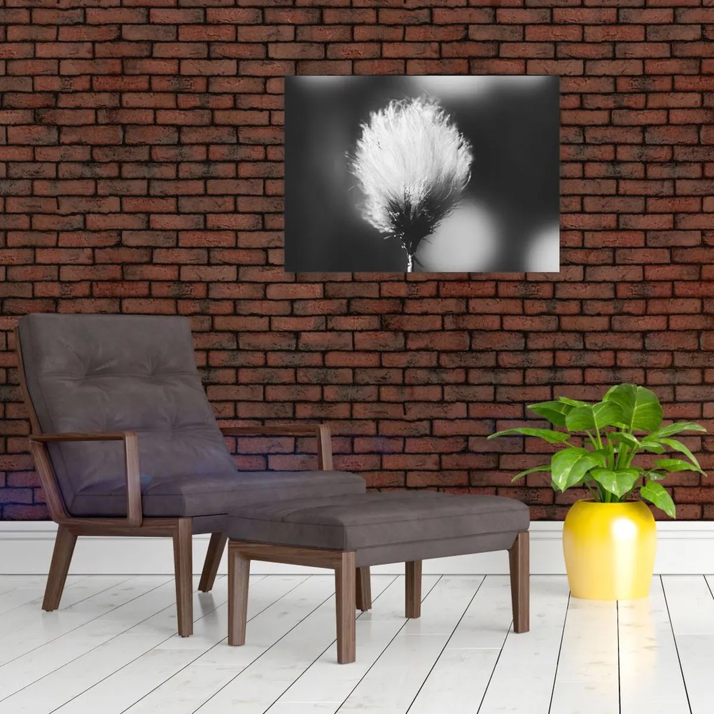 Kép - Fekete-fehér pamutfű (70x50 cm)