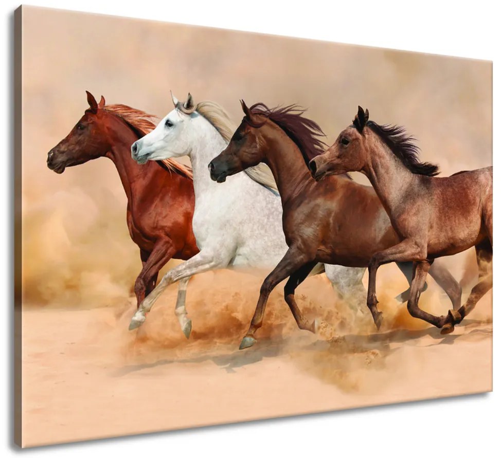 Gario Vászonkép Gyönyöru lovak állománya Méret: 100 x 70 cm