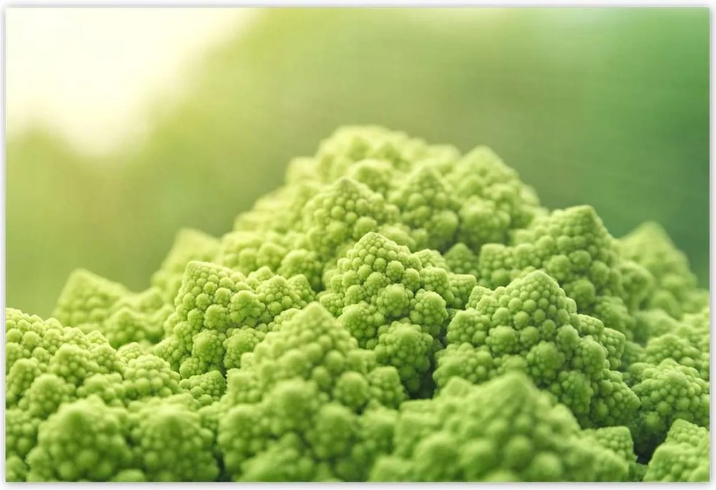 Poszterek 155x105 Konyhai képek Forradalmak