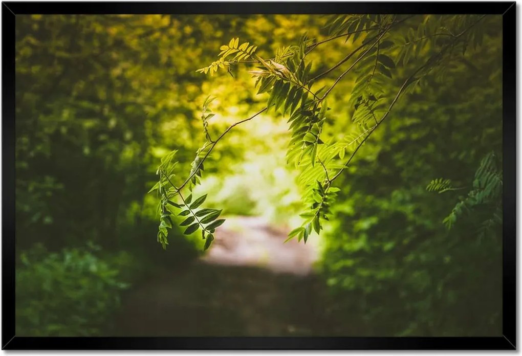 Poszter keretben 60x40 Zöld levelek Levelek