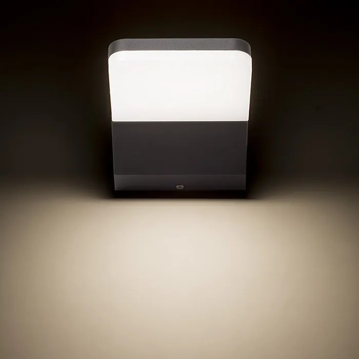 RENDL VIRGO fali lámpa antracitszürke 230V LED 9W IP65 3000K