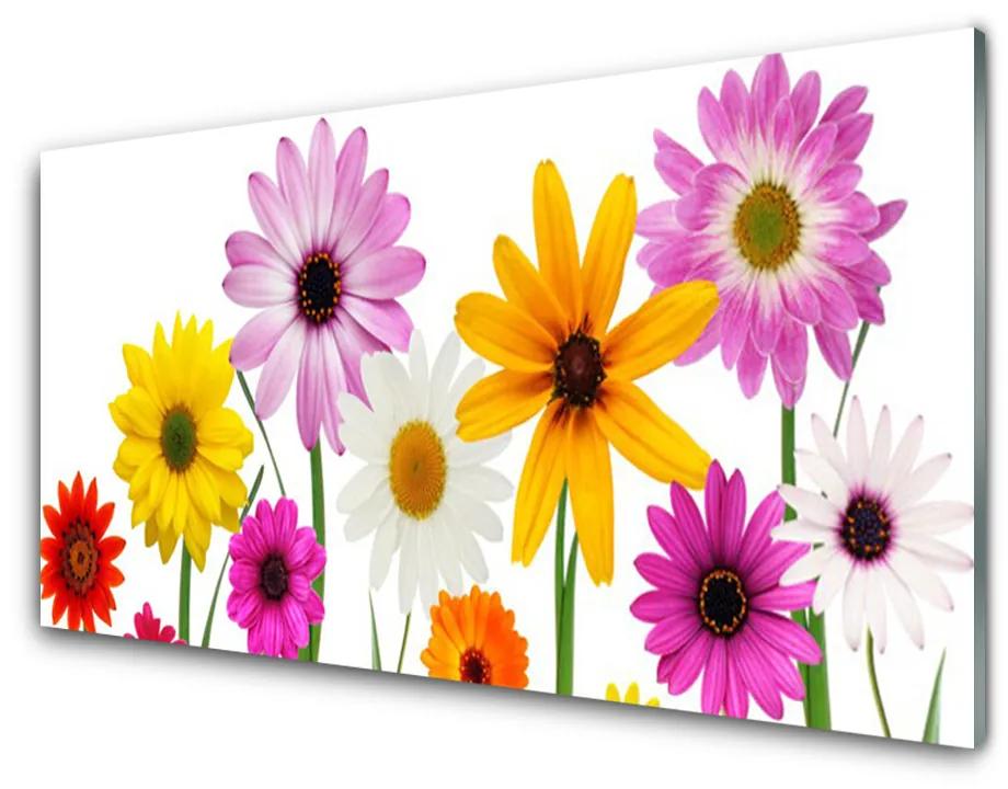 Akrilkép Színes virágok természet 140x70 cm