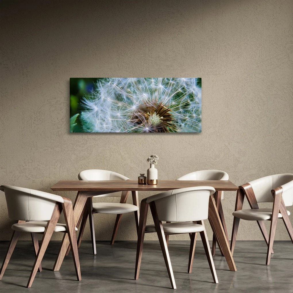 Elvirágzott pitypang képe (120x50 cm)