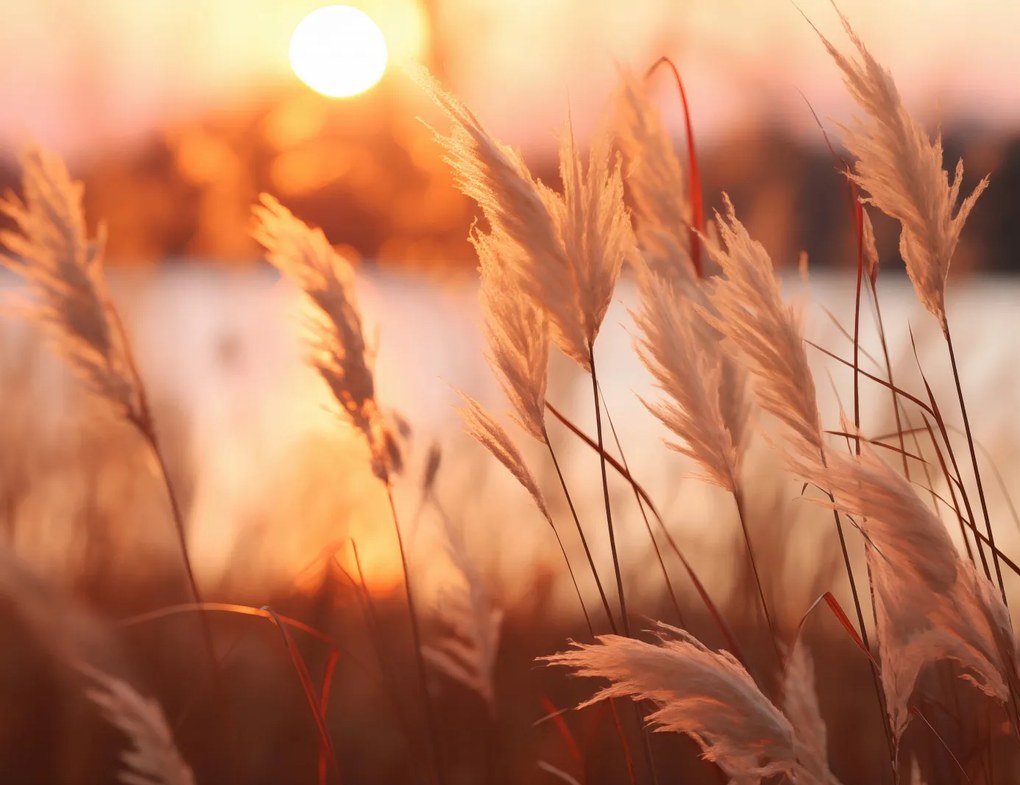 Poszter 65x50cm Arany Nyugat