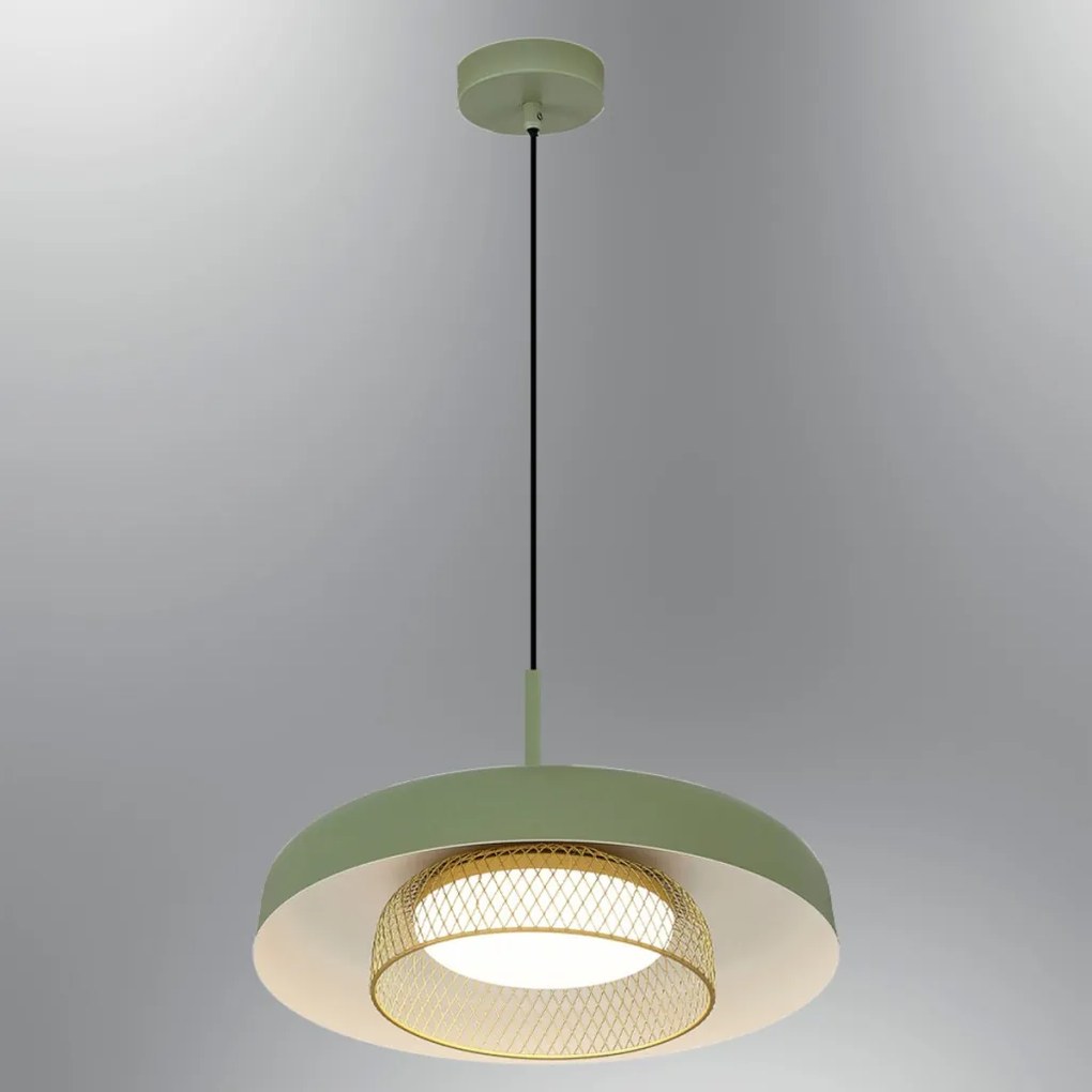 Petiti - 1432-1A-07