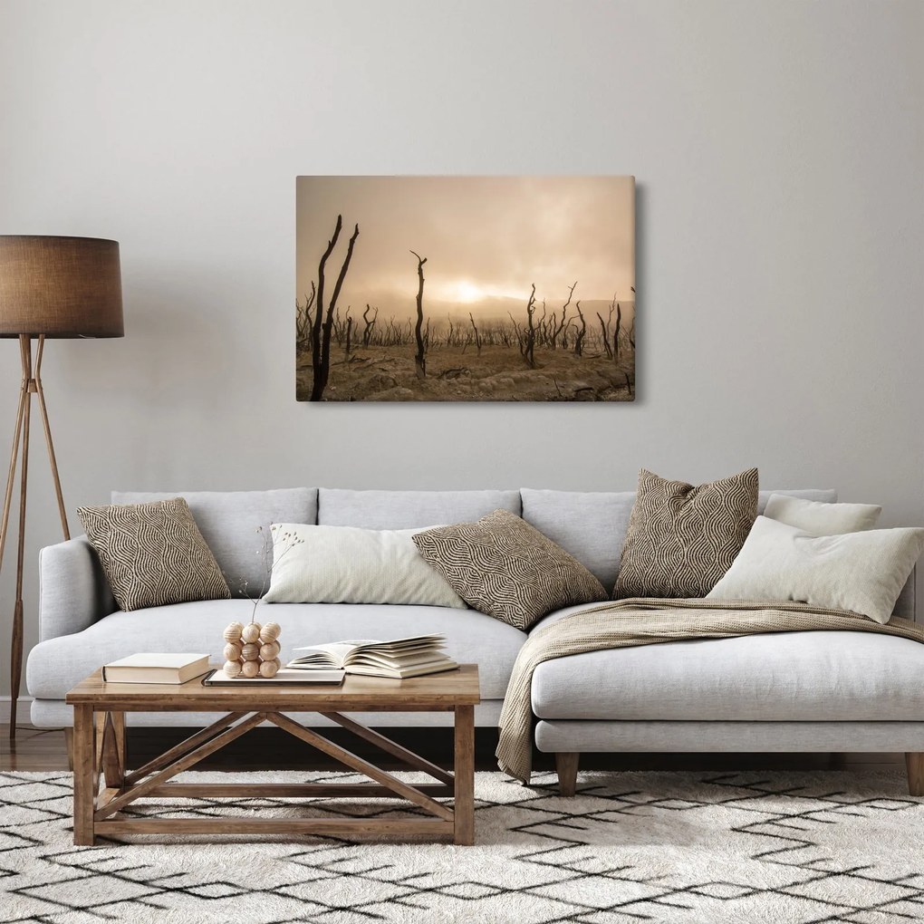 Kép - Csupasz fák (90x60 cm)