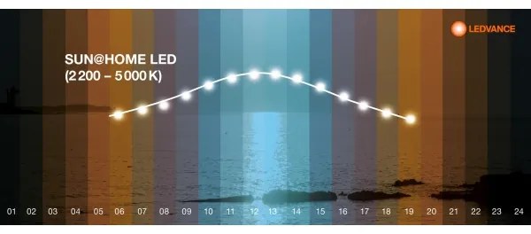 Ledvance - LED Szabályozható fényerejű lámpa SUN@HOME LED/20W/230V 2200-5000K CRI 95 Wi-Fi