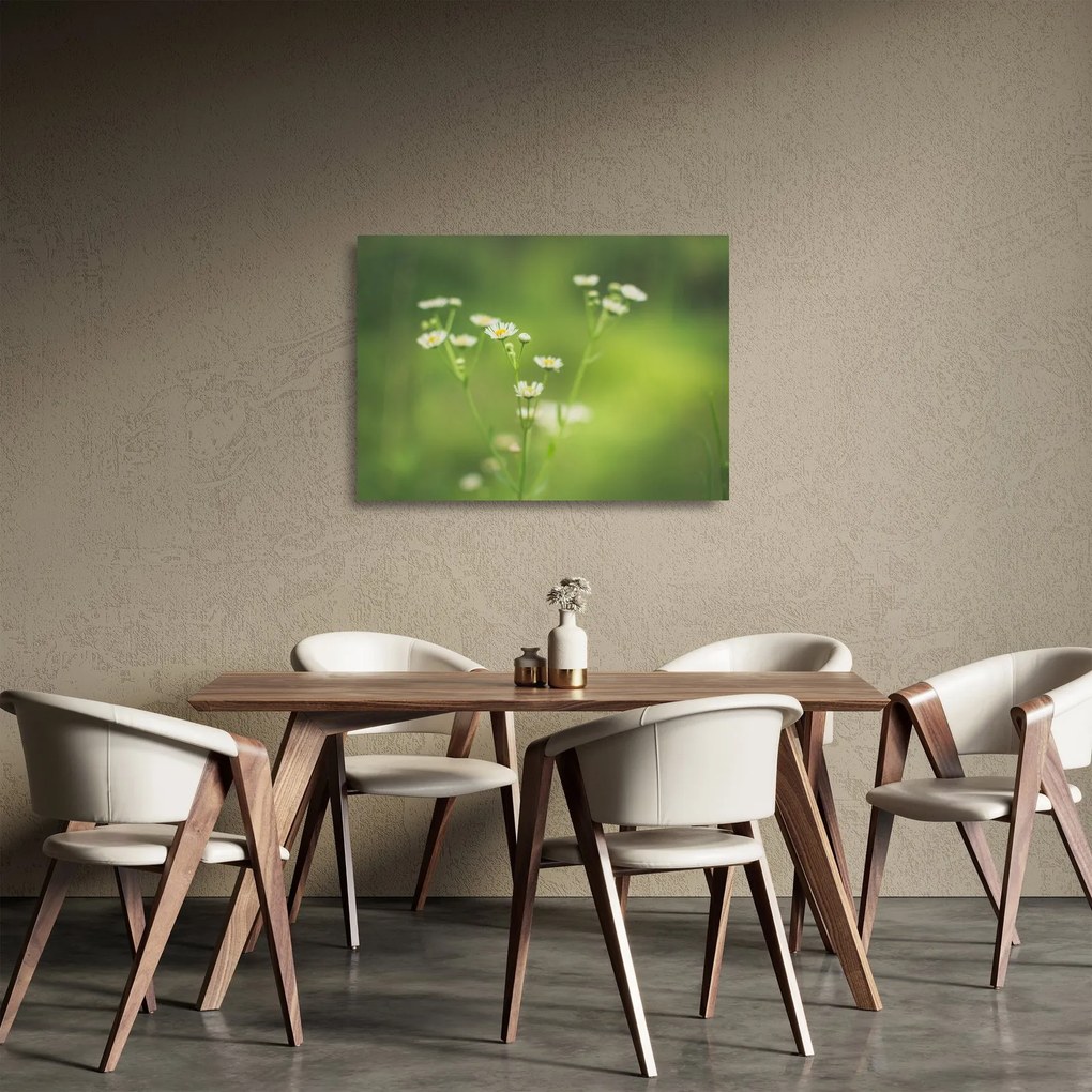 Egy százszorszép képe (üvegen) (70x50 cm)