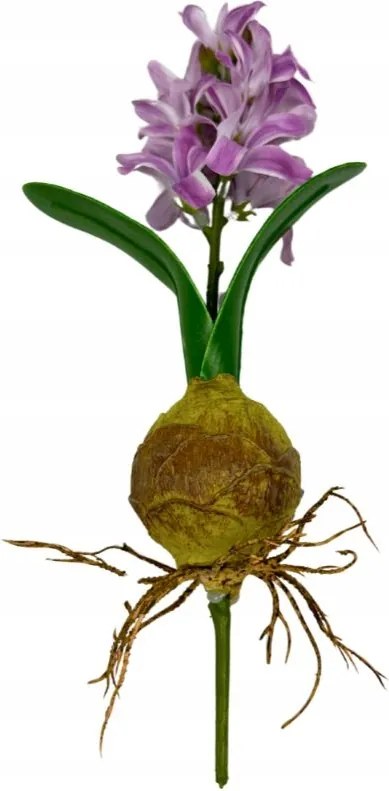 Jácint hagymával 24 cm lila Tavaszi Művirágok