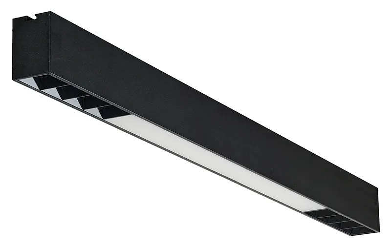 Linelio Mix LED