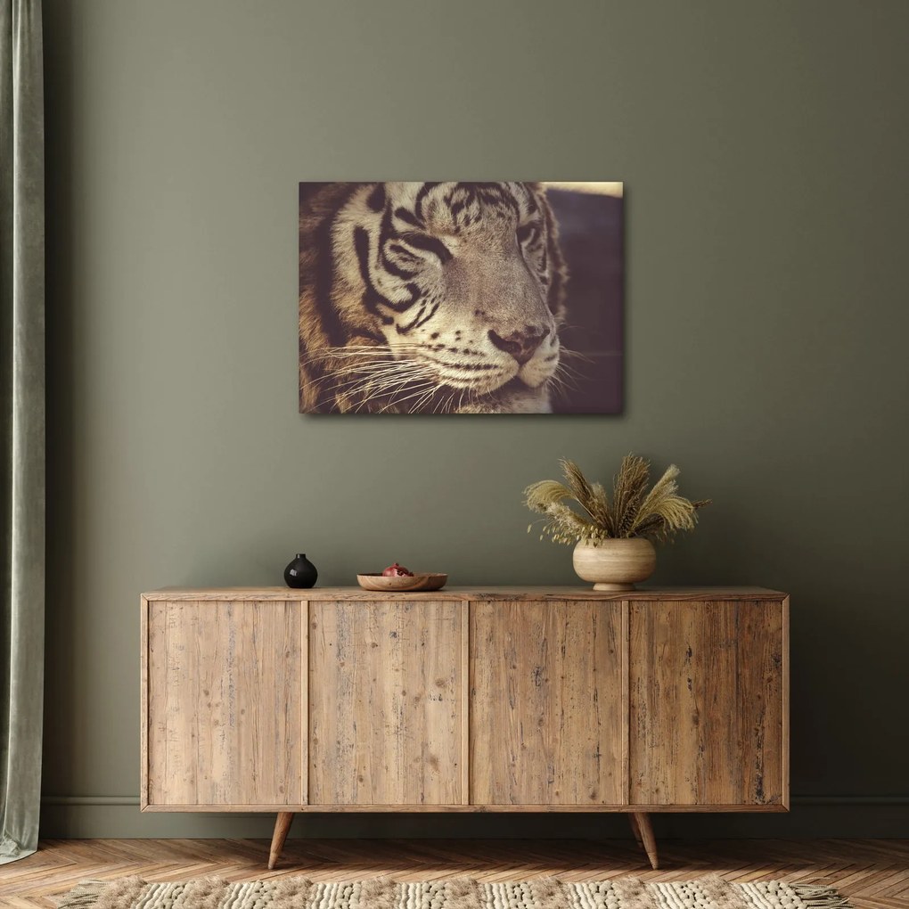 Tigris képe (70x50 cm)