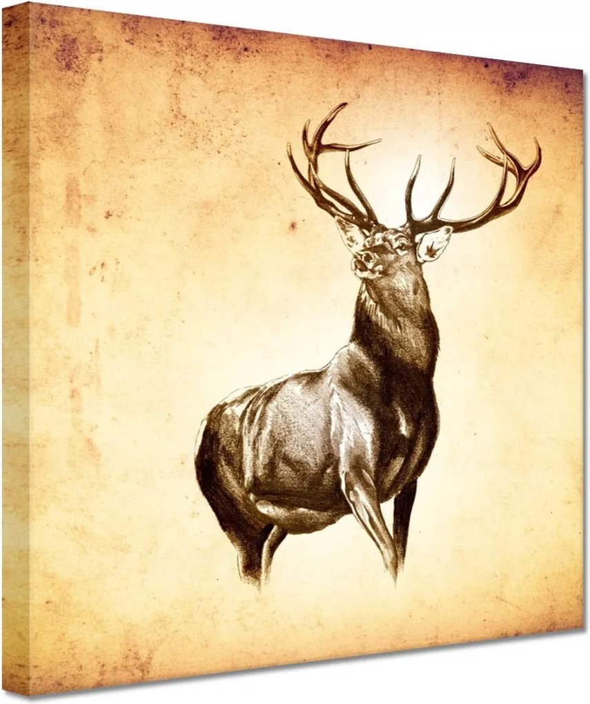 Vászonkép 20x20 Szarvas szarvakkal