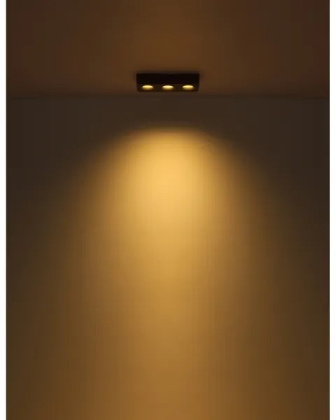 Globo 43100-3 - LED Mennyezeti lámpa HANGARAU LED/14W/230V 11,7x33,2 cm