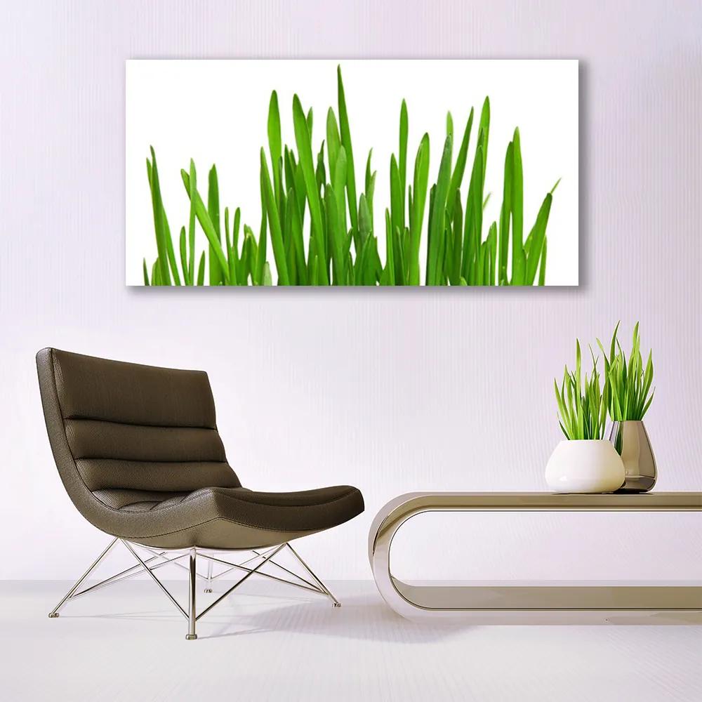 Üvegkép Grass A Wall 125x50 cm