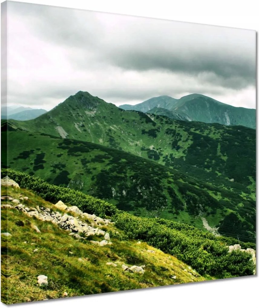 Vászonkép 40x40 Tátra Lengyel hegyek Kilátás