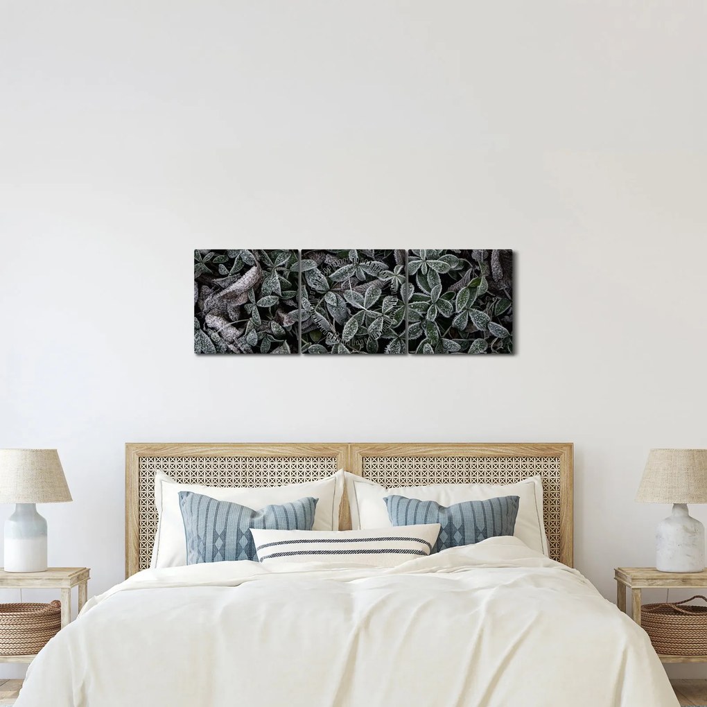 Kép - Fagyasztott növények (órával) (90x30 cm)