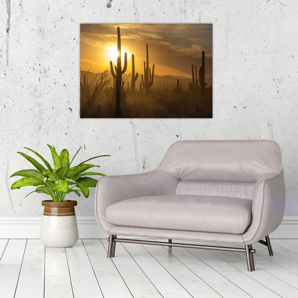 Kép - Saguaro kaktuszok (70x50 cm)