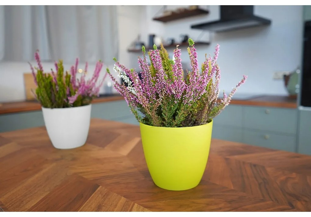 Gardenico Ella matt virágcserép fehér, átmérő 25 cm, 25 cm átmérőjű