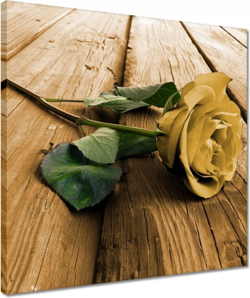 Vászonkép 40x40 Rózsa a deszkákon