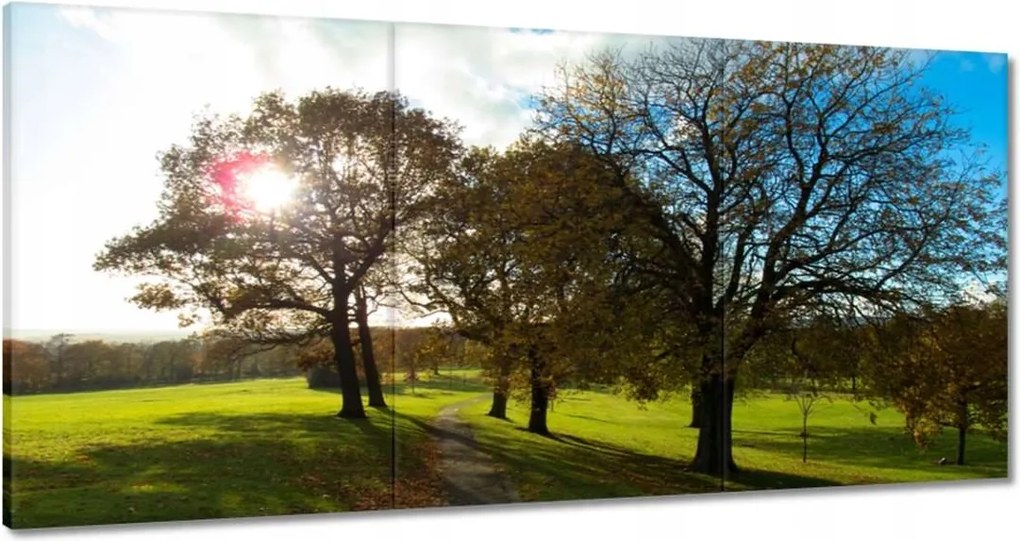 Festmények 180x90 Őszi tájkép