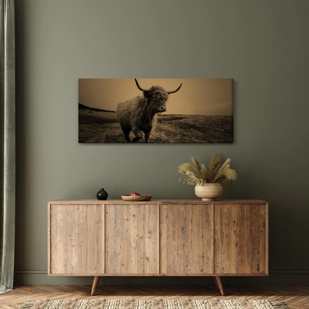 Kép - Skót tehén menekül (120x50 cm)