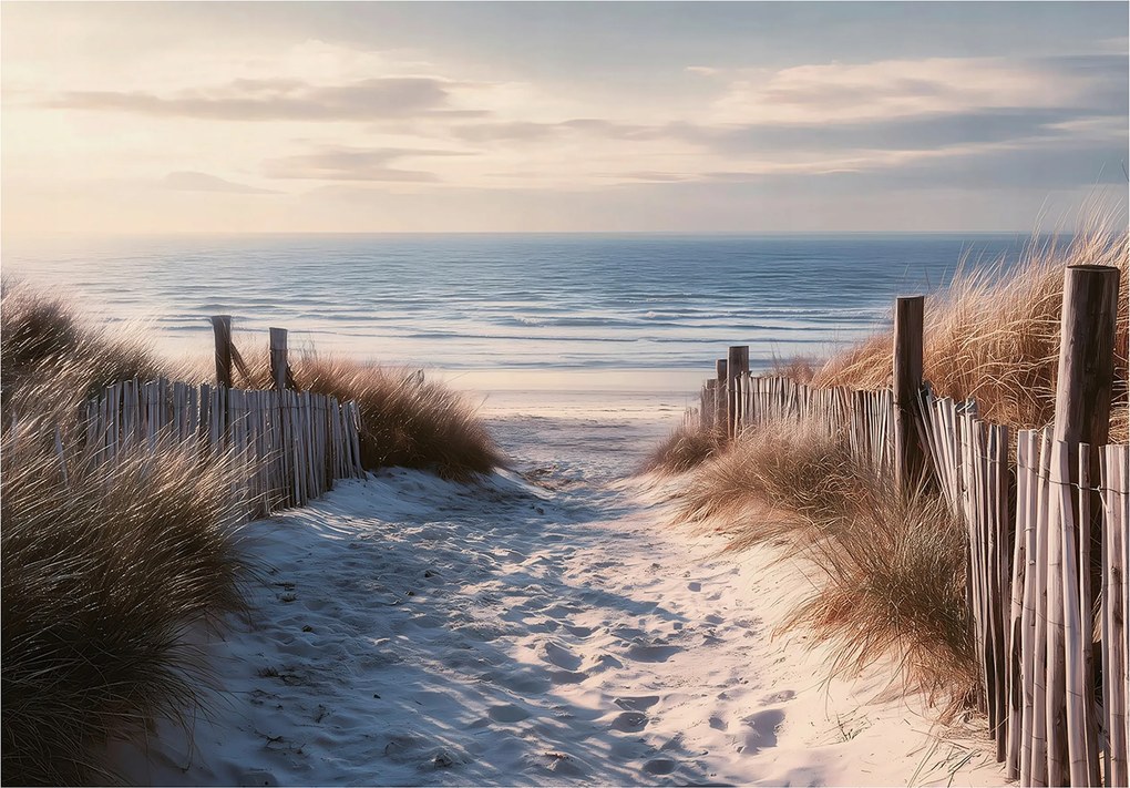 Fotótapéta Tengerpart Homok Természet Falra Hálószoba Nappali 400x280