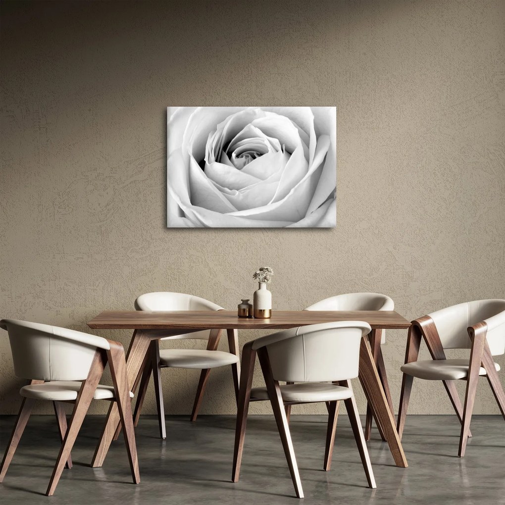 Kép - Rózsa virág részlete (70x50 cm)