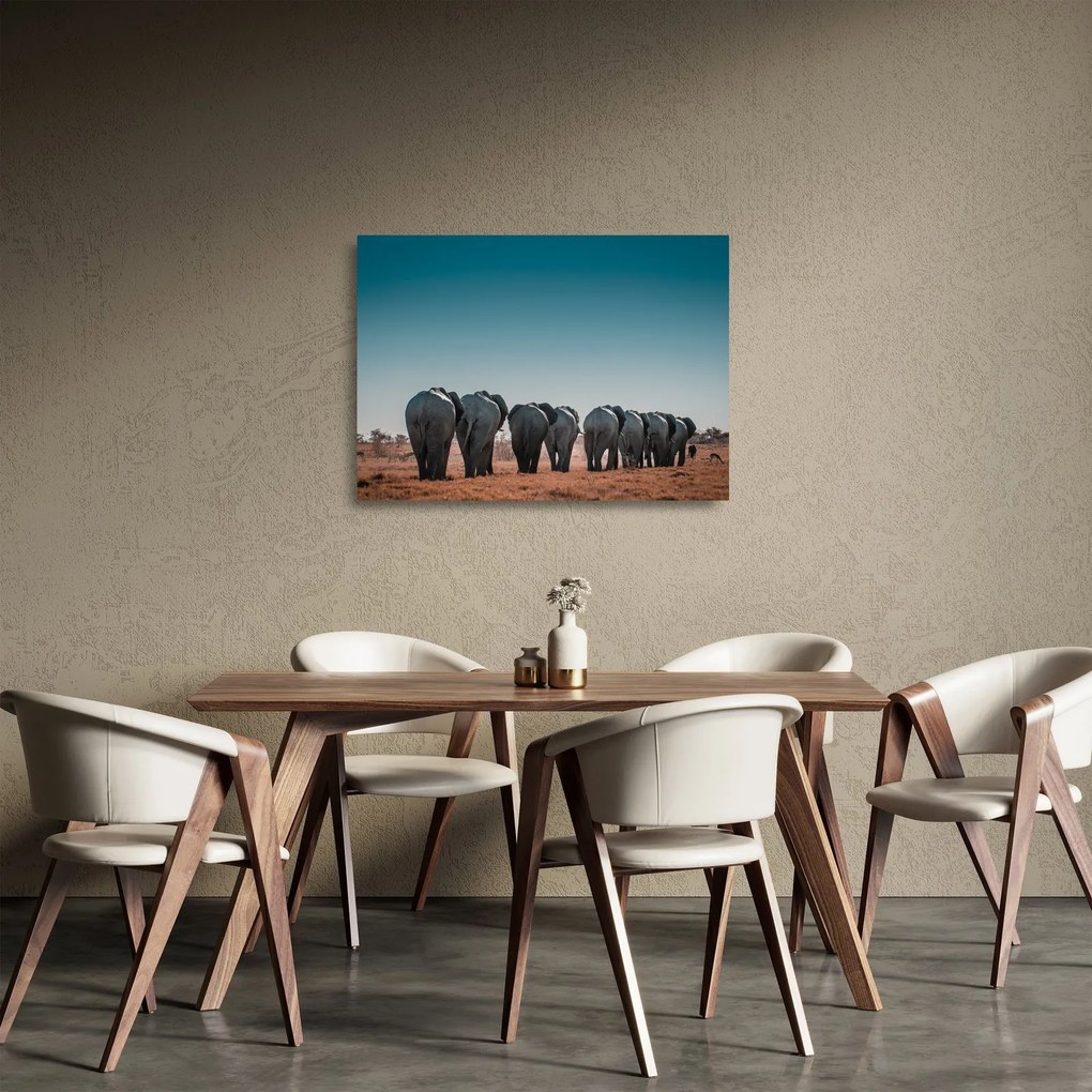 Kép - Elefántok indulása (üvegen) (70x50 cm)