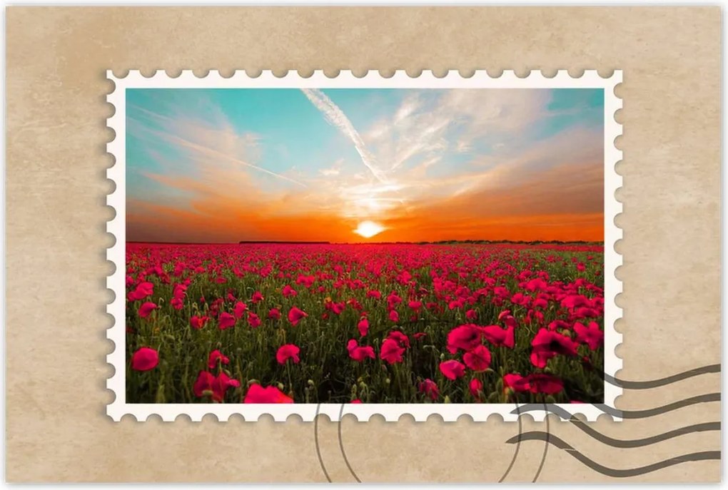 Poszterek 90x60 Rózsaszín pipacsok Naplemente