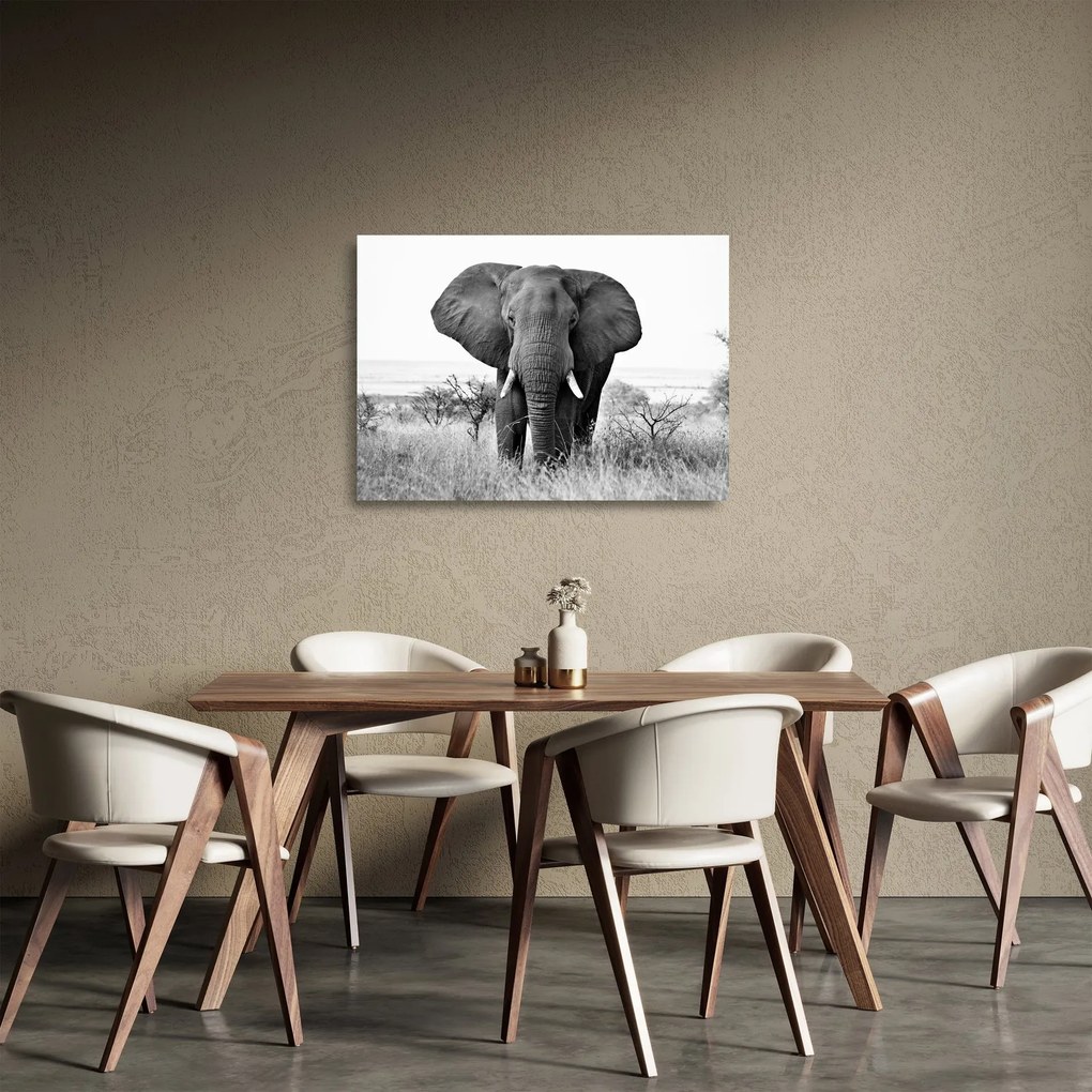 Üveg kép - Afrikai elefánt II. (70x50 cm)