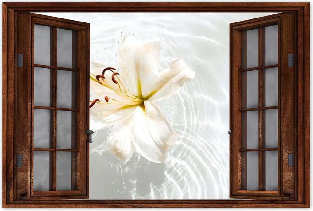 Poszterek 60x40 Virág a vízen Név