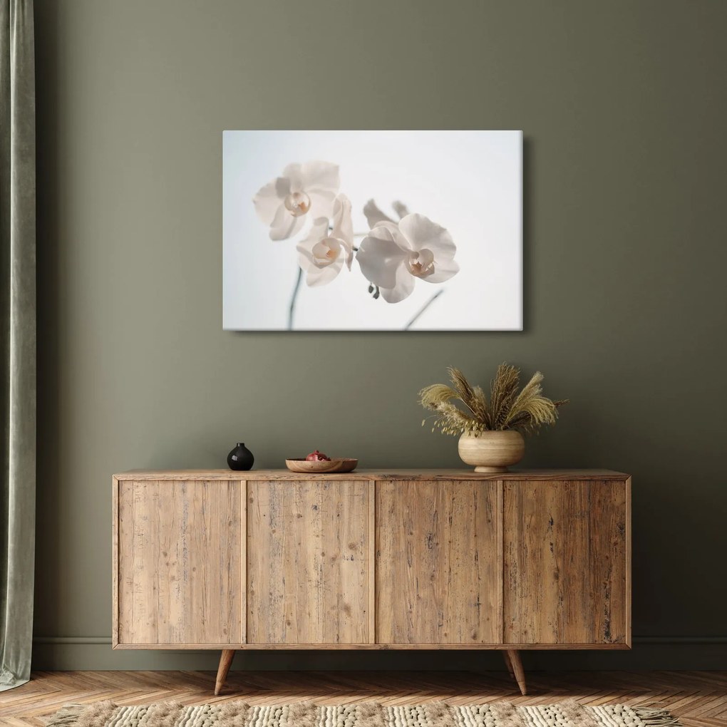 Fehér orchidea képe (90x60 cm)