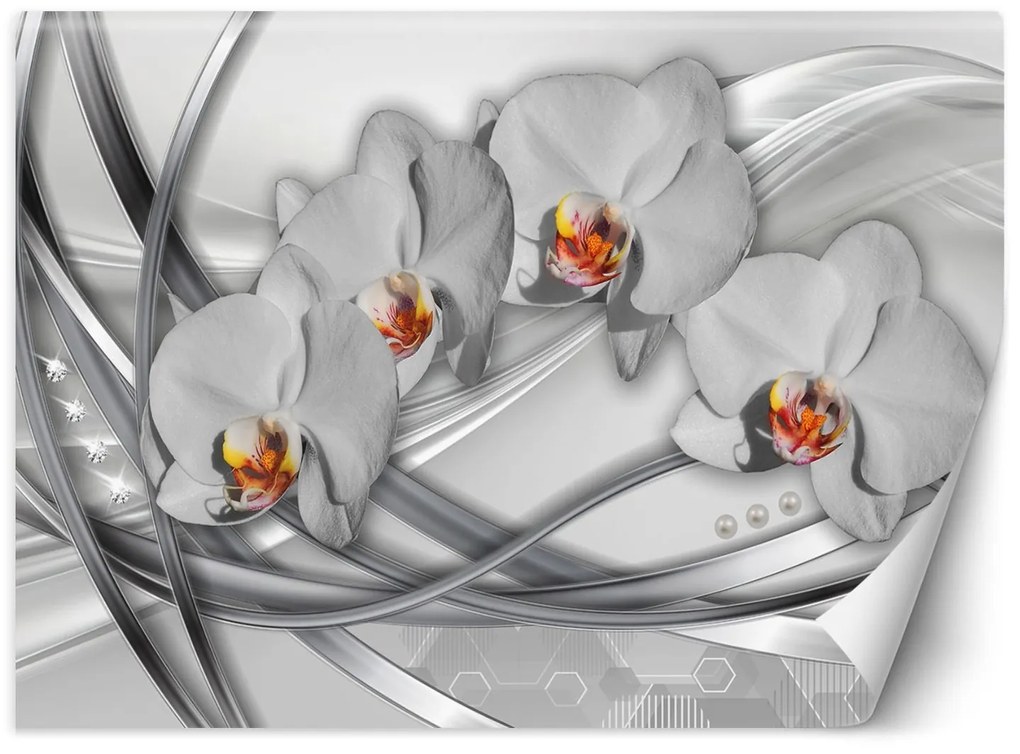 Gario Fotótapéta Absztrakt orchideák Anyag: Vlies, Méret: 250 x 175 cm