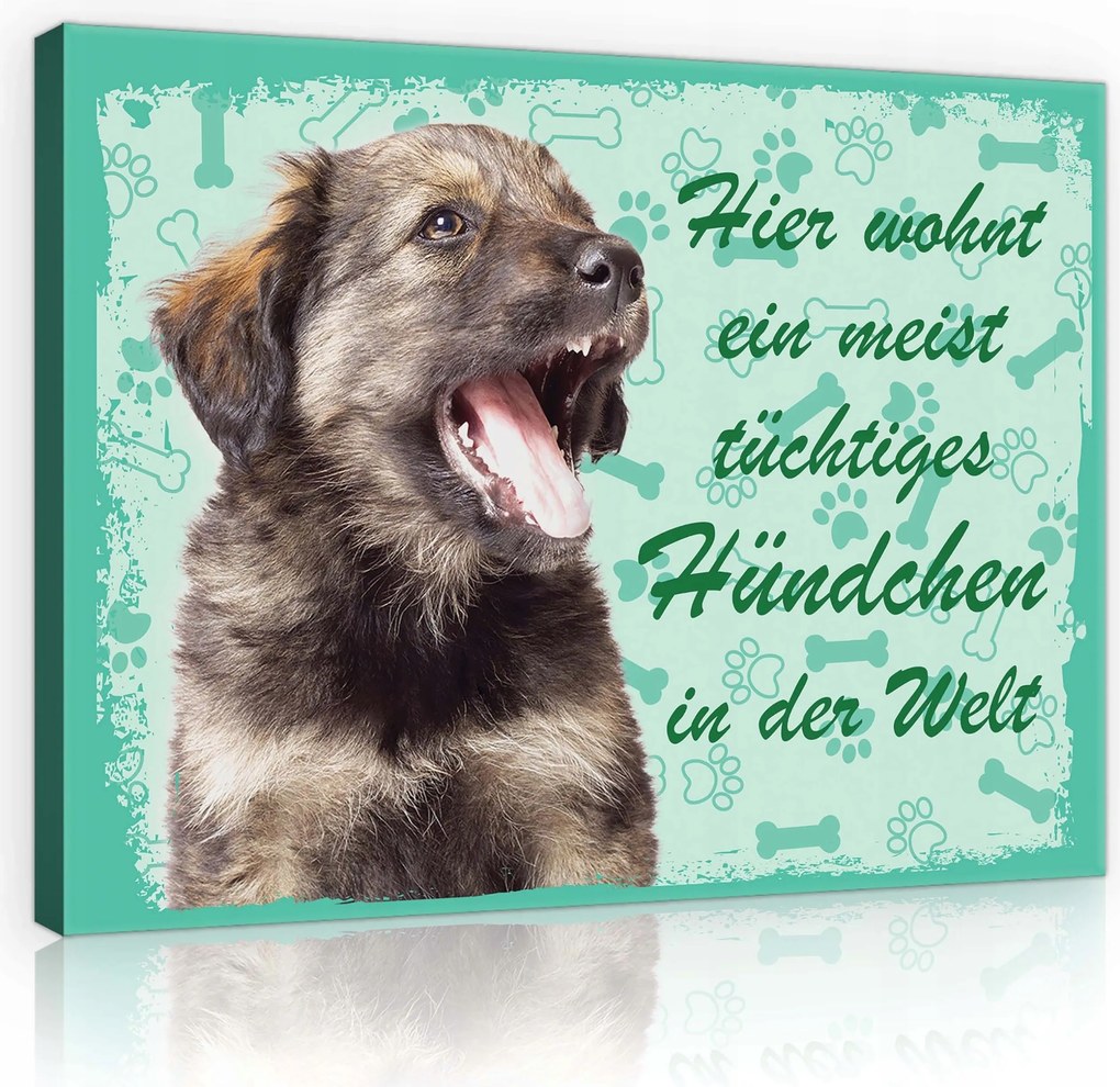 Vászonkép 80x60 Kiskutya kutyus aranyos vicces kis kedvenc csont mancsnyomok