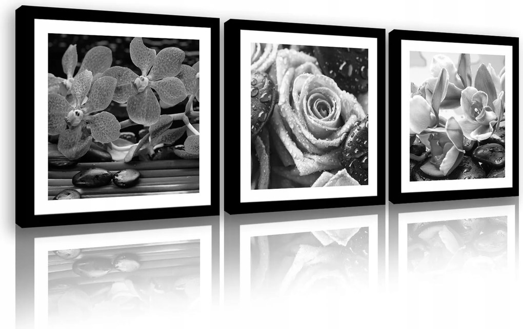 Vászonkép 75x25 Triptichon Fekete-fehér Virágok Rózsa Orchidea Rosa Minimalizmus Spa