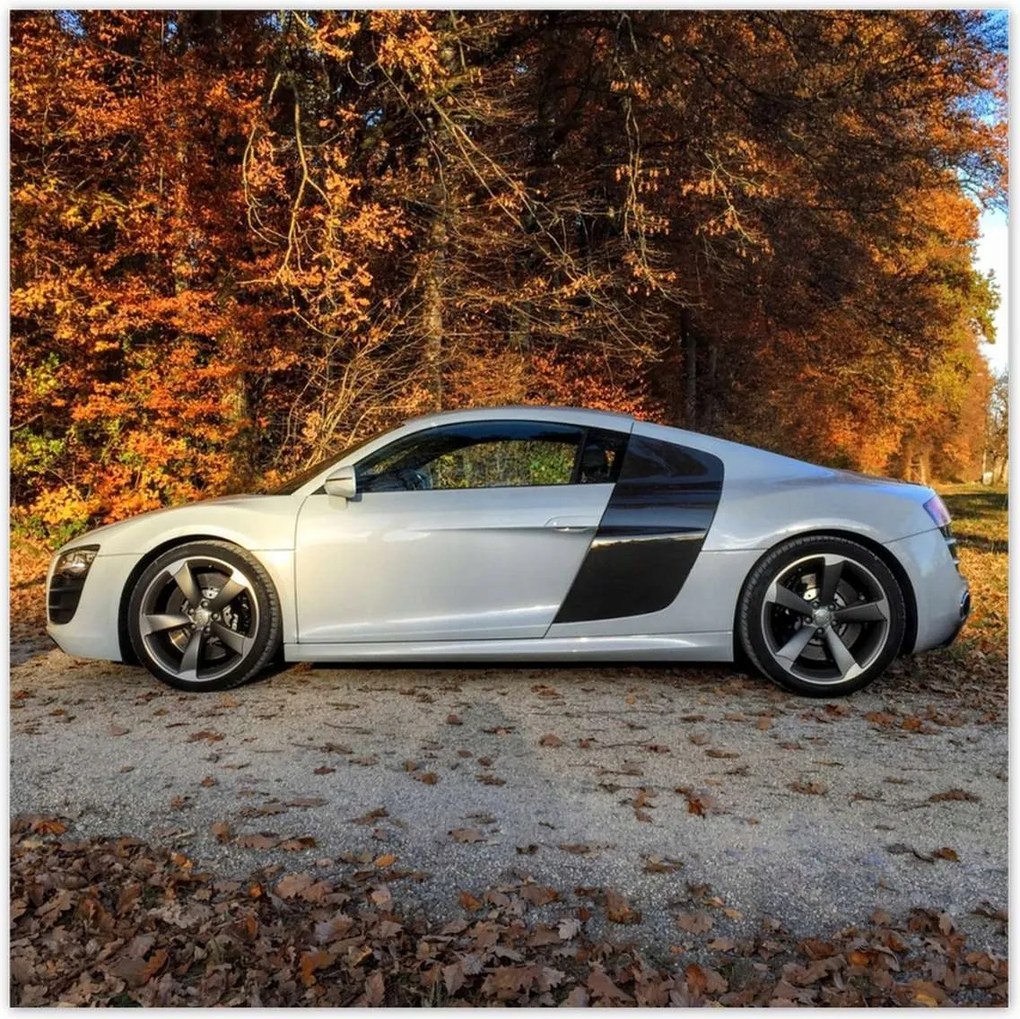 Poszterek 140x140 Őszi Audi Autó
