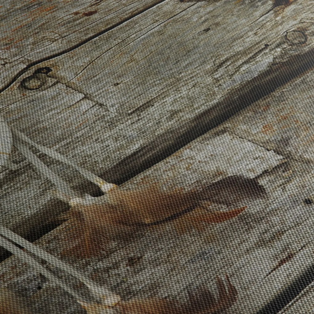 Kép - Álomfogó (90x60 cm)